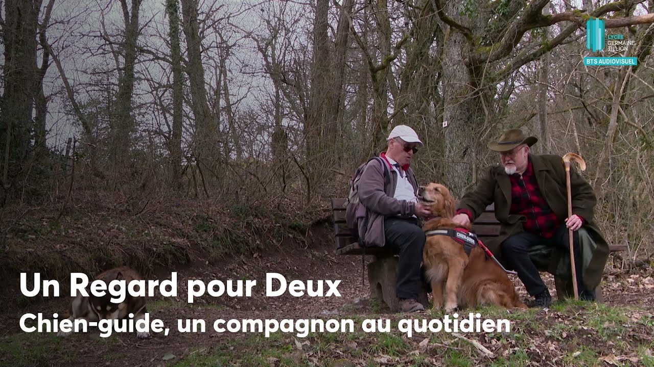 Miniature du reportage