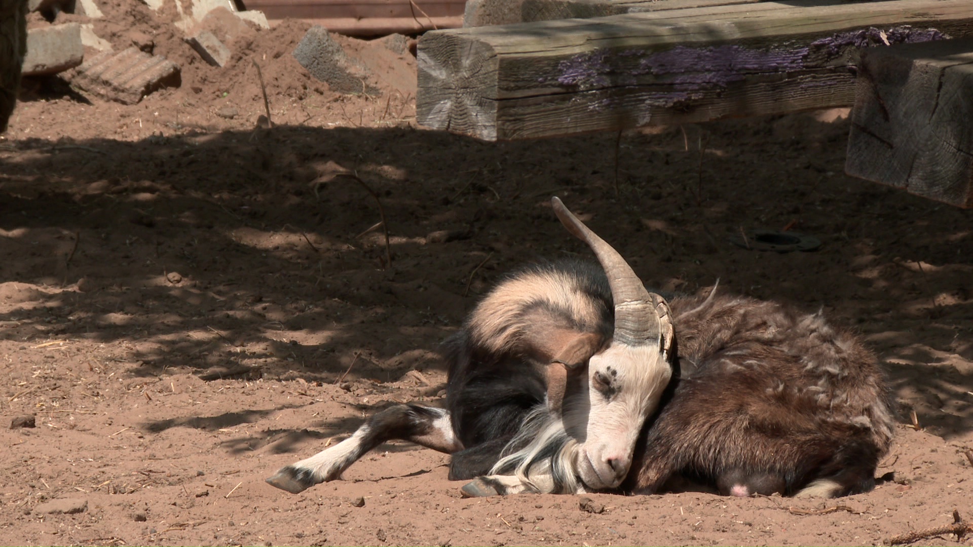 Miniature du reportage
