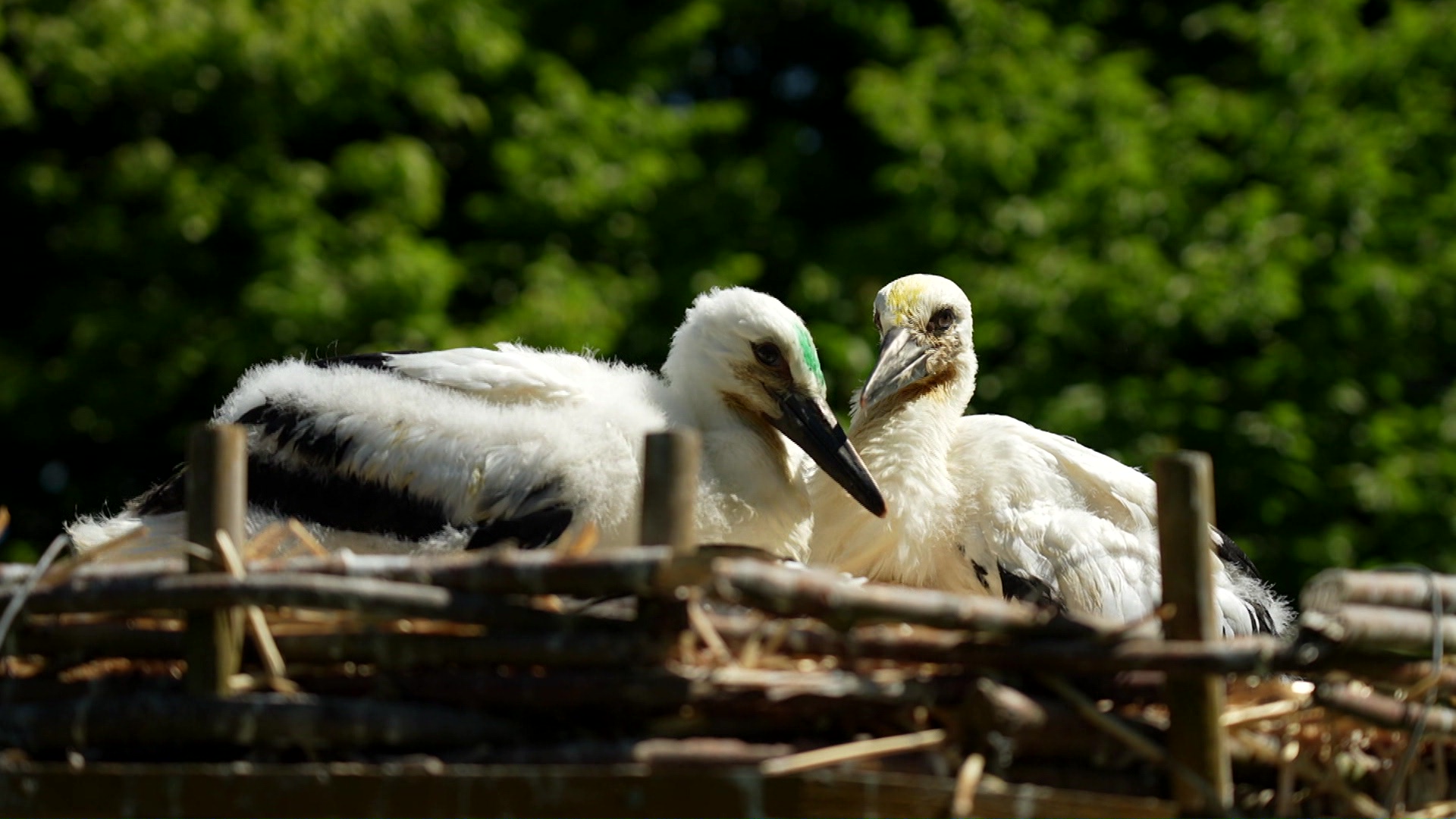 Miniature du reportage
